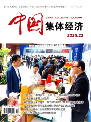 中国集体经济杂志